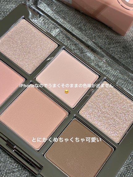 ベターミーアイパレット/2aN/マルチパレットを使ったクチコミ(3枚目)