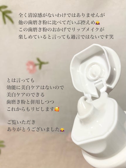 デンタルペースト 120g (スタンディングタイプ)/GUM/歯磨き粉の画像