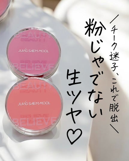 アーティストクッションブラッシュ/JUNG SAEM MOOL/リキッドチークを使ったクチコミ(1枚目)