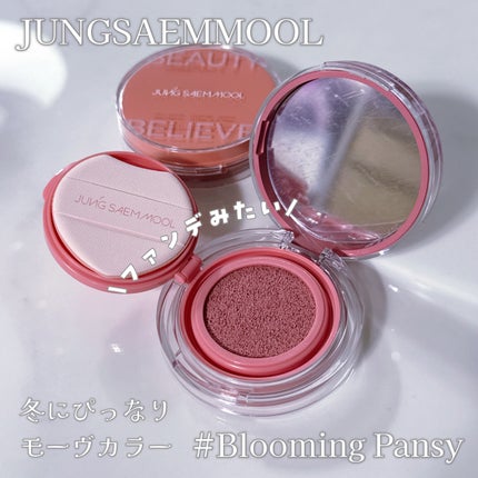 アーティストクッションブラッシュ/JUNG SAEM MOOL/リキッドチークを使ったクチコミ(2枚目)