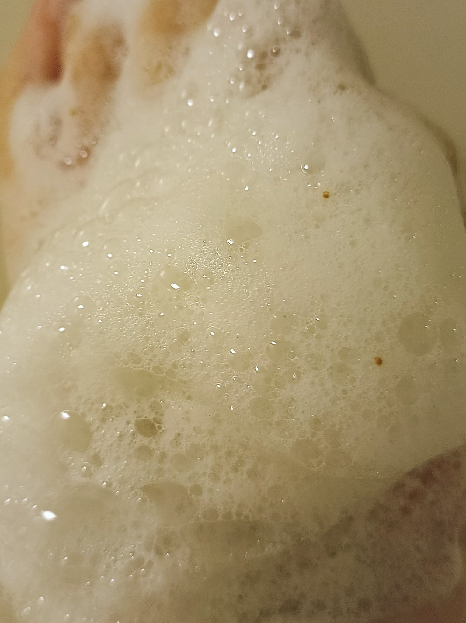 Milk Touch 西洋すももビタクレンジングフォームのクチコミ「そういえば、やっとなくなりそうだからメガ割で買い足そうかな…と思ってLIPS見てたら全然クチコ.....」（3枚目）