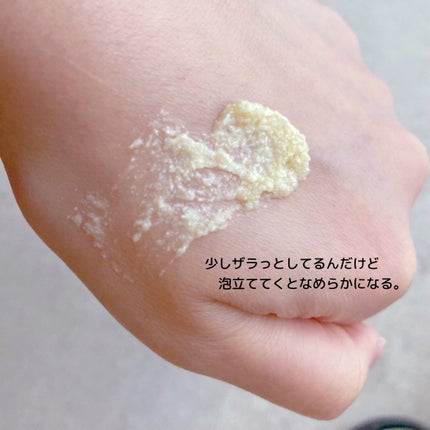 ヴィーガンプロテイン 90g/ラッシュ/シャンプー・コンディショナーの画像