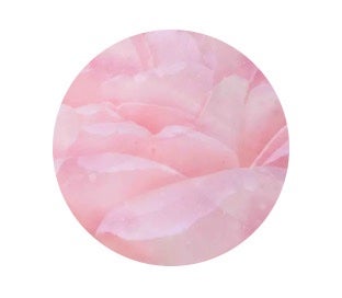 HIYO ãã©ããð¯ on LIPS ã400ãããè¶
ããŠãŸããïŒïŒãŸããŸããããããããããããšãã..ãïŒ4æç®ïŒ