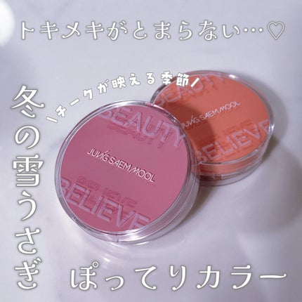 アーティストクッションブラッシュ/JUNG SAEM MOOL/リキッドチークを使ったクチコミ(1枚目)