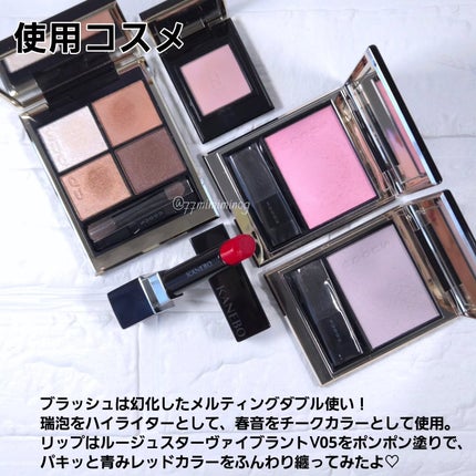 シグニチャー カラー アイズ/SUQQU/アイシャドウパレットを使ったクチコミ(8枚目)