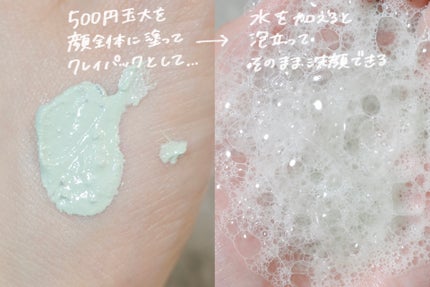 グリーントマトクレイマスククレンザー/FULLY/洗い流すパック・マスクを使ったクチコミ(2枚目)