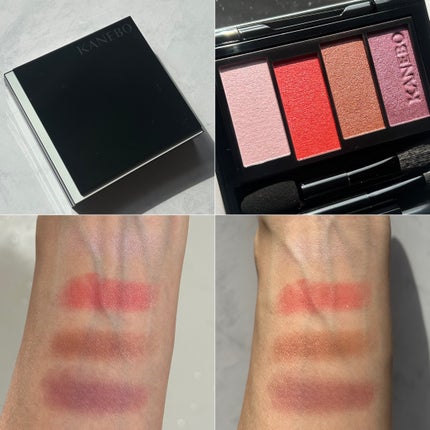 レイヤードカラーズアイシャドウ/KANEBO/アイシャドウパレットを使ったクチコミ(8枚目)