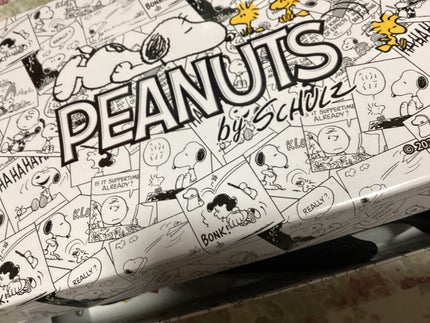 ピーナッツ レディース Snoopy スヌーピー スニーカー 靴 シューズ スリッポン シンプル /ピーナッツ レディース Snoopy スヌーピー スニーカー 靴 シューズ スリッポン シンプル /その他を使ったクチコミ(2枚目)