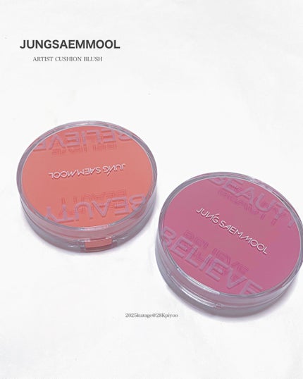 アーティストクッションブラッシュ/JUNG SAEM MOOL/リキッドチークを使ったクチコミ(6枚目)