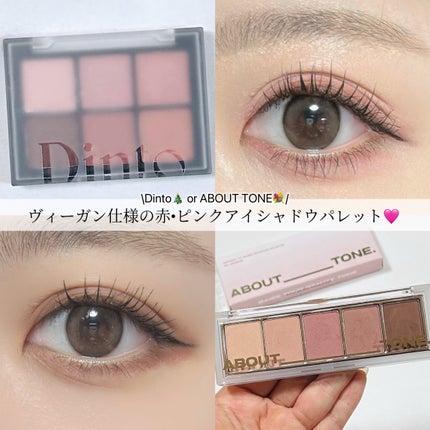 ブラーフィニシュシャドウパレット/Dinto/アイシャドウパレットを使ったクチコミ(1枚目)