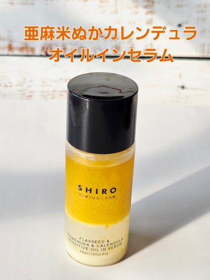 ホリデーセット 2025/SHIRO/その他キットセットを使ったクチコミ(1枚目)