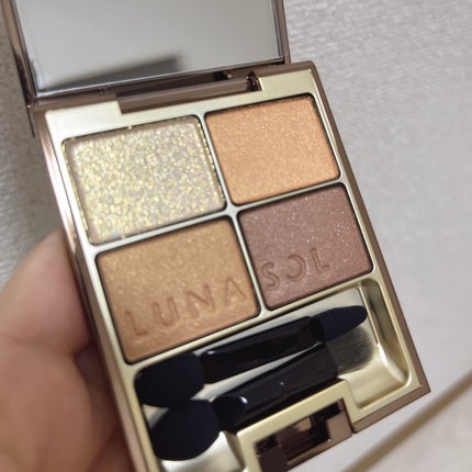 スキンモデリングアイズ/LUNASOL/アイシャドウパレットを使ったクチコミ(2枚目)