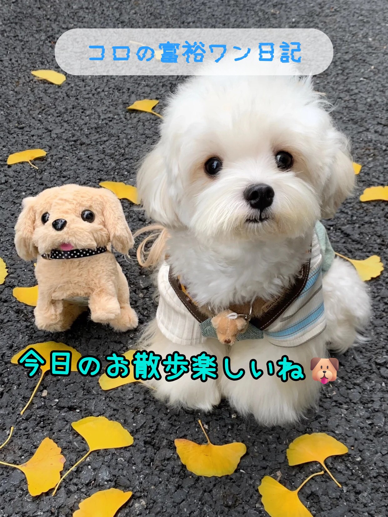 アネトス バランシング トリートメント トナー /Anetos/化粧水を使ったクチコミ（1枚目）