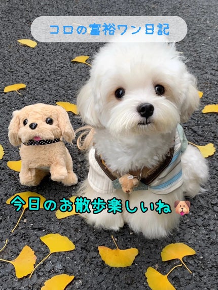 アネトス バランシング トリートメント トナー /Anetos/化粧水を使ったクチコミ(1枚目)