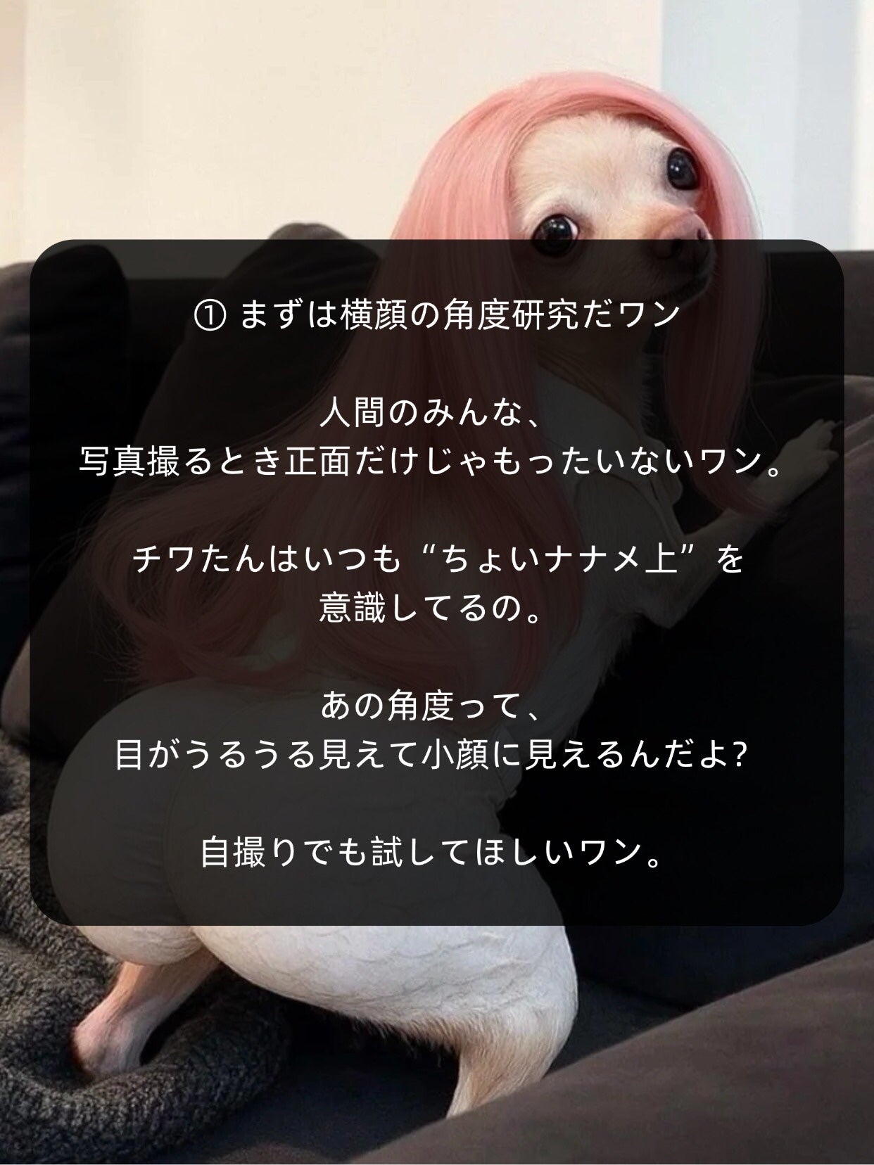 アネトス バランシング トリートメントクリーム/Anetos/フェイスクリームを使ったクチコミ(2枚目)