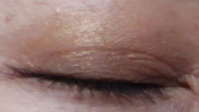 アイカラーパレット ホリデーリミテッド/Amplitude/アイシャドウパレットを使ったクチコミ（3枚目）