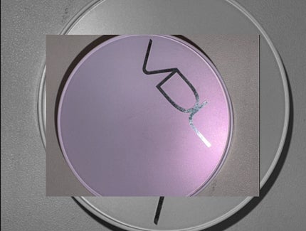 パーフェクティング シルキーフィット カバー クッション ファンデーション/VDL/クッションファンデーションを使ったクチコミ(1枚目)