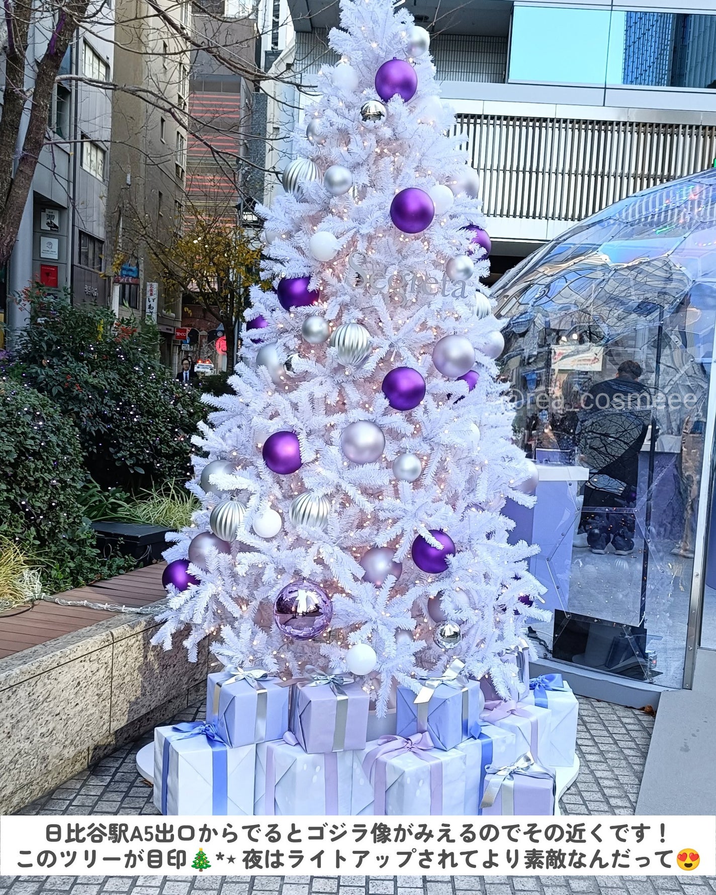 れあこすめ on LIPS 「\SegretaGlowGarden2025❄/Segreta..」(2枚目)