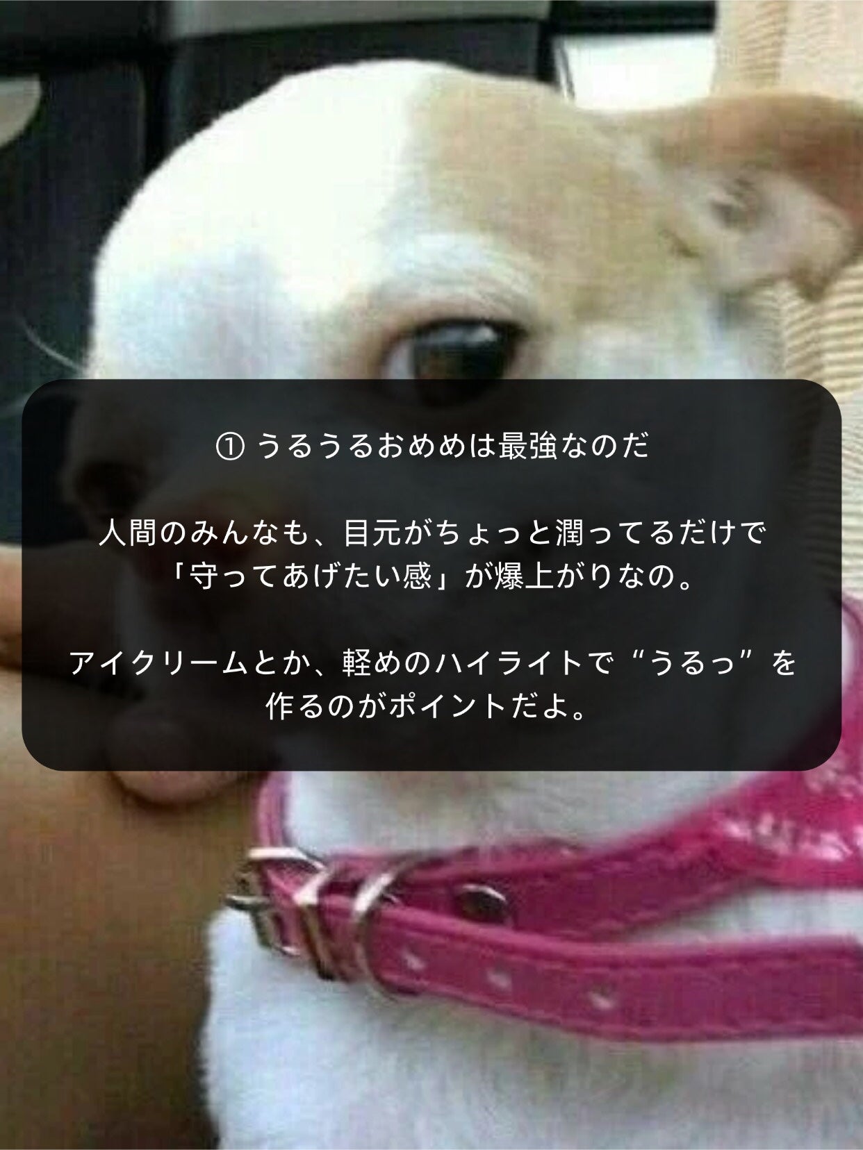 アネトス バランシング トリートメントクリーム/Anetos/フェイスクリームを使ったクチコミ(3枚目)