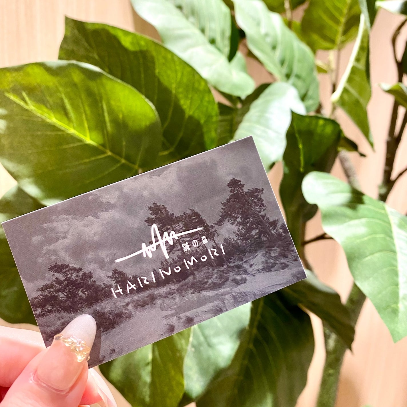 ããã¿ðãã©ãã100 on LIPS ãæžè°·ããåŸæ©6åãããã®å Žæã«ãããéŒã®æ£®ãã§ã90åå
šèº«ãã«..ãïŒ8æç®ïŒ