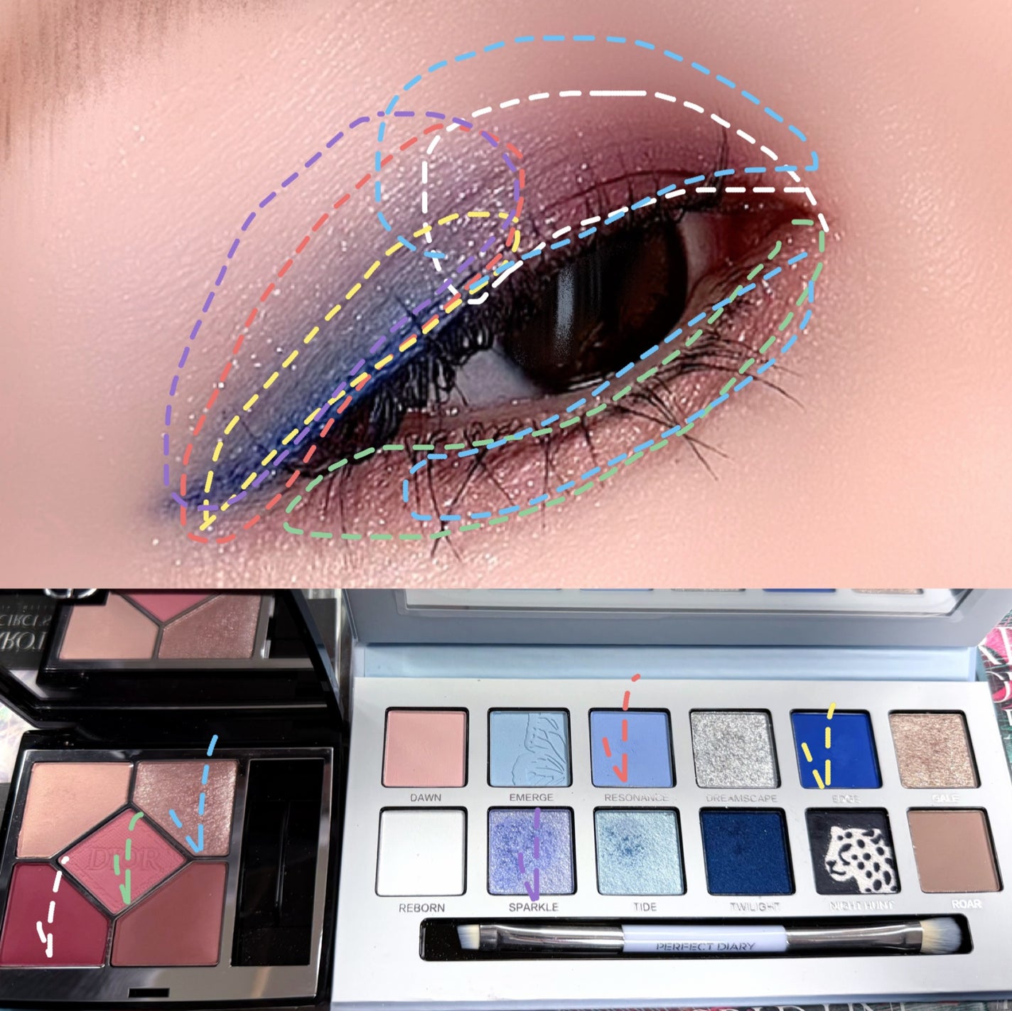 エクスプローラ12色 動物アイシャドウパレット/PERFECT DIARY/アイシャドウパレットを使ったクチコミ(4枚目)