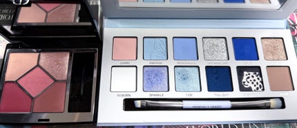 エクスプローラ12色 動物アイシャドウパレット/PERFECT DIARY/アイシャドウパレットを使ったクチコミ(5枚目)