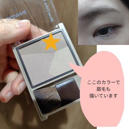 ナチュラルマットシェーディング/CEZANNE/シェーディングを使ったクチコミ(4枚目)