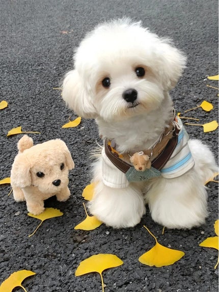 アネトス バランシング トリートメント トナー /Anetos/化粧水を使ったクチコミ(2枚目)