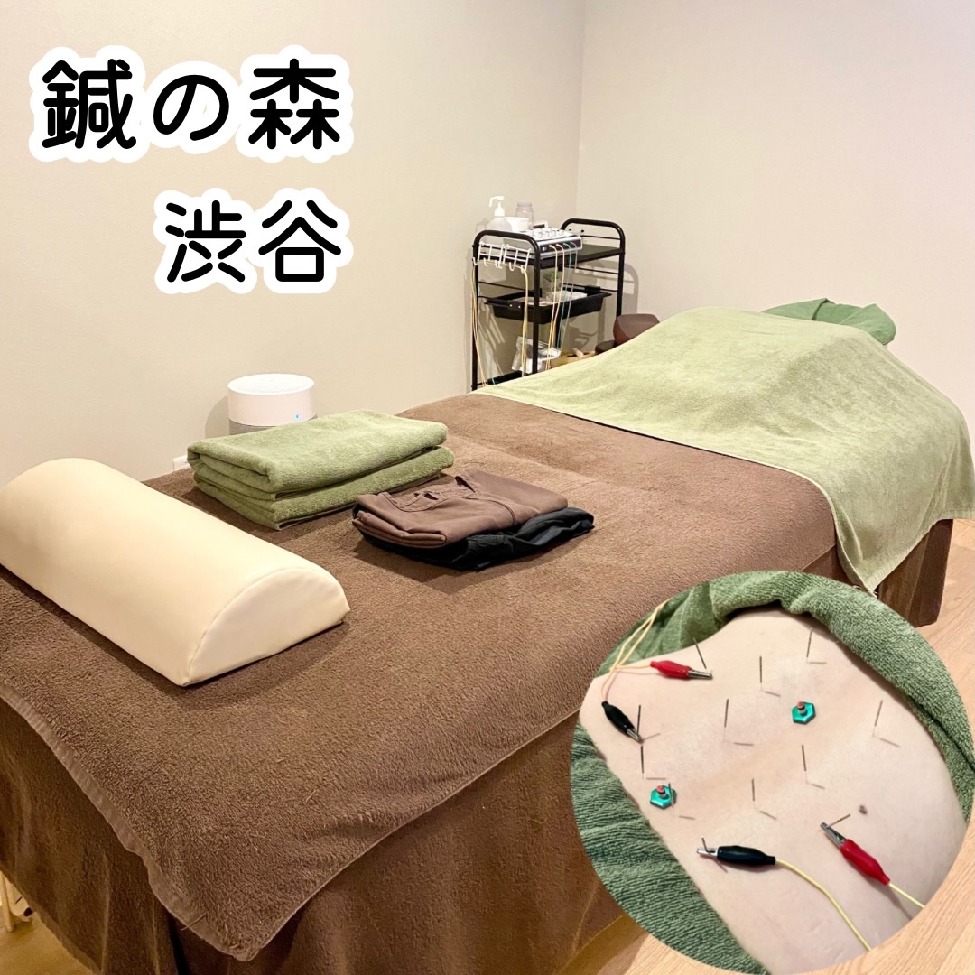 渋谷から徒歩6分くらいの場所にある【 鍼の森 】で
【 90分 全身フルメンテナンスコース 】を体験してきました😊

長時間のデスクワークで固まりがちな首・肩・腰…🌀🌀
自分では届かない深いところまで、
" ここだ…！ "というポイン