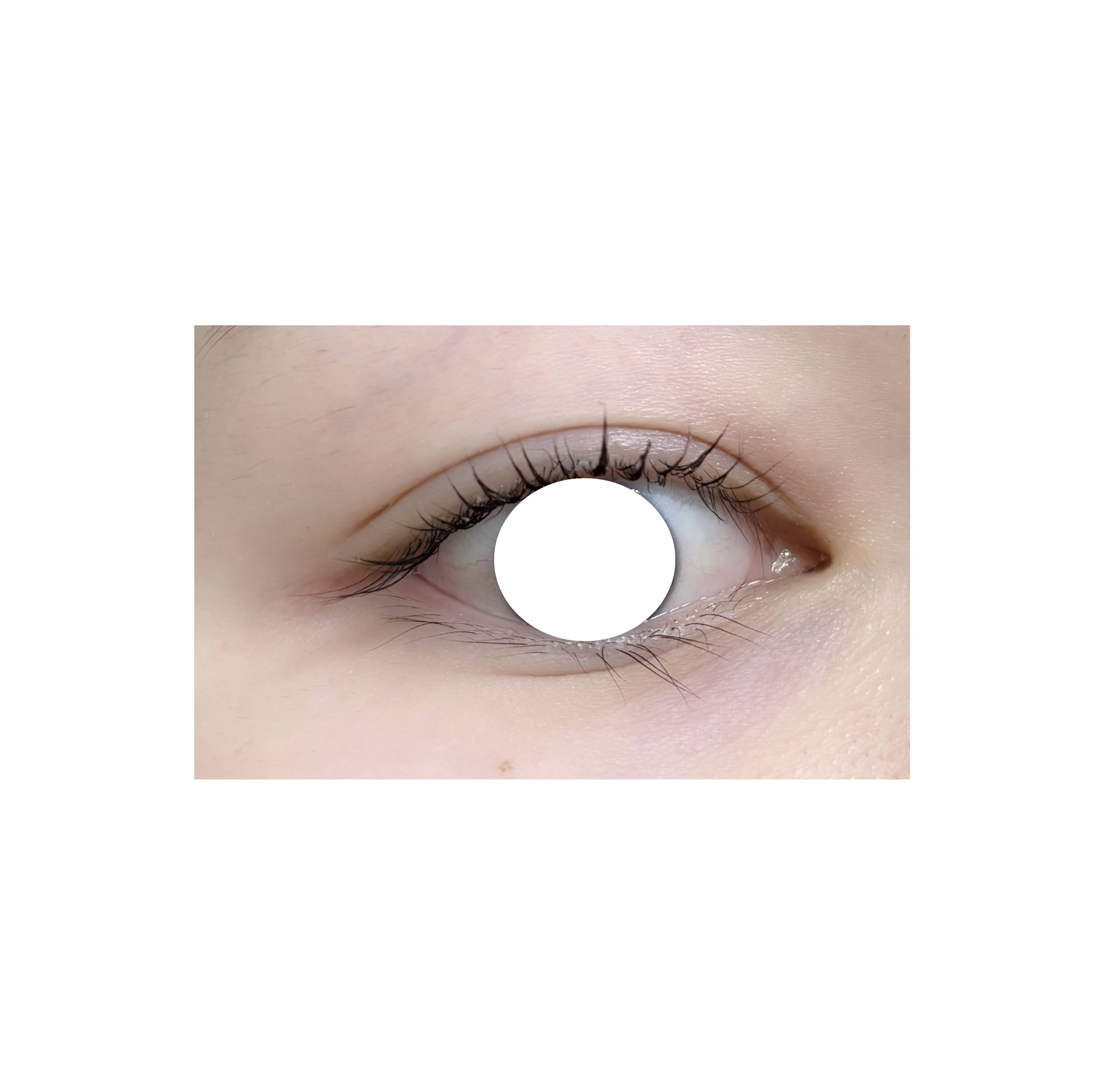 ロングアクティブアイラッシュセラム/COSNORI/まつげ美容液を使ったクチコミ（2枚目）