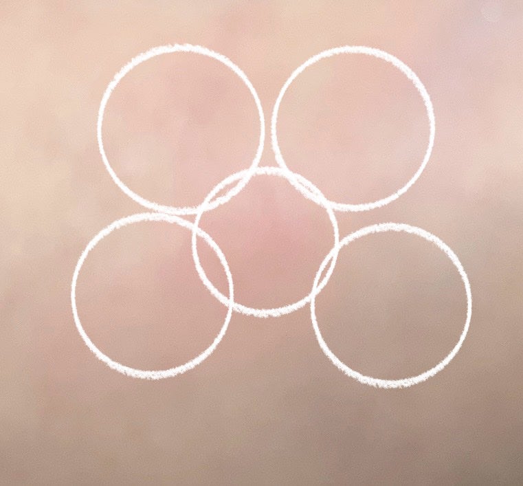 グロウフルールチークス/キャンメイク/パウダーチークを使ったクチコミ(4枚目)