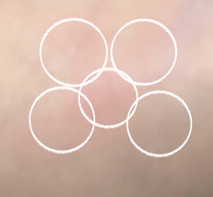 グロウフルールチークス/キャンメイク/パウダーチークを使ったクチコミ(4枚目)