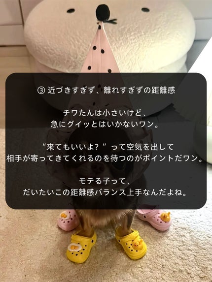 アネトス バランシング トリートメントクリーム/Anetos/フェイスクリームを使ったクチコミ(4枚目)