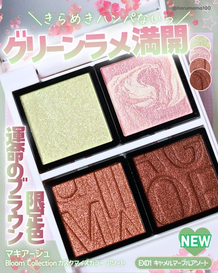 Bloom Collection カスタマイズアイカラー アソート(限定カラー)/マキアージュ/アイシャドウを使ったクチコミ(1枚目)