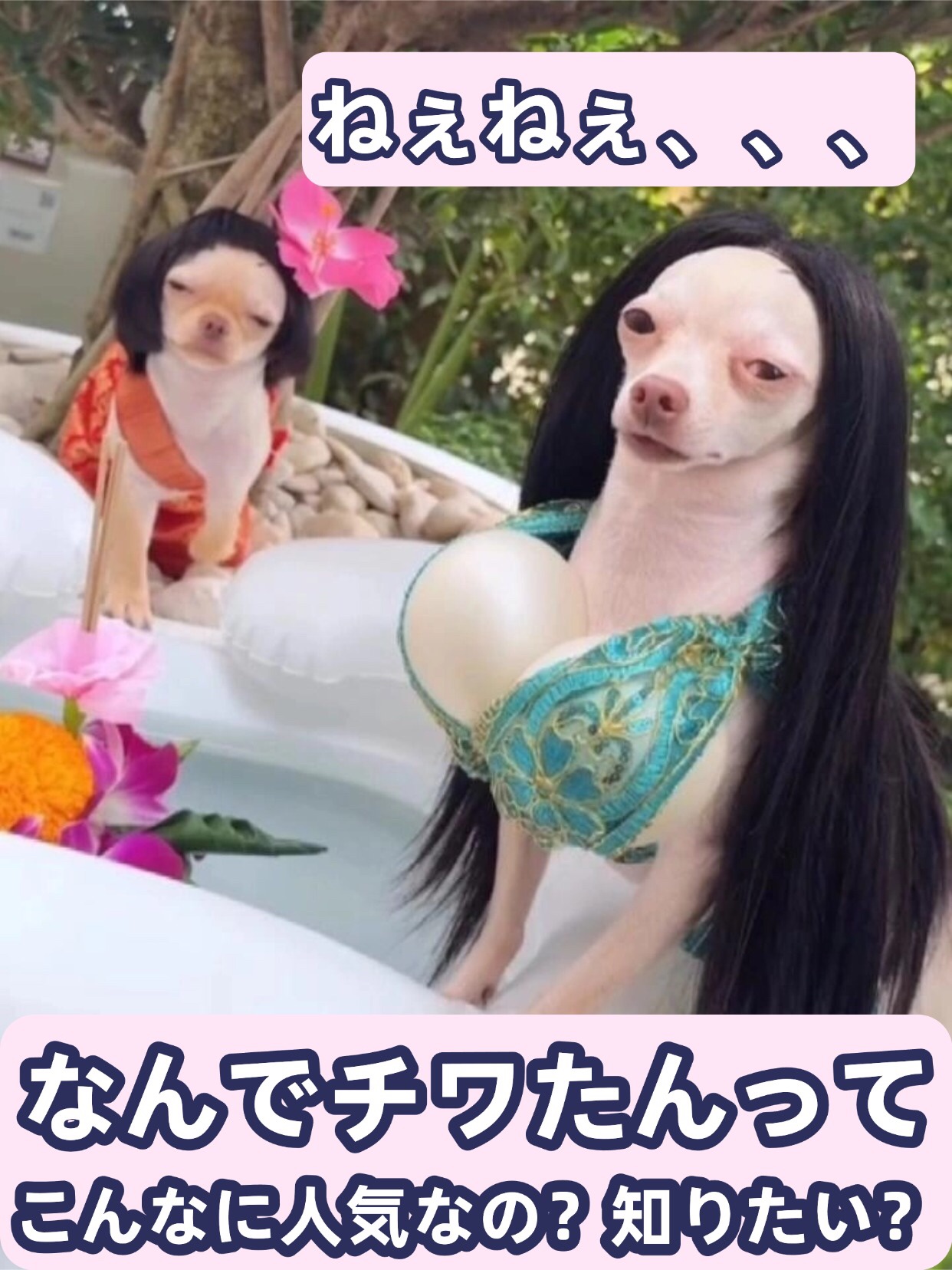 アネトス バランシング トリートメントクリーム/Anetos/フェイスクリームを使ったクチコミ（1枚目）