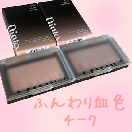 ブラーフィニシュブラッシャー/Dinto/パウダーチークを使ったクチコミ(1枚目)