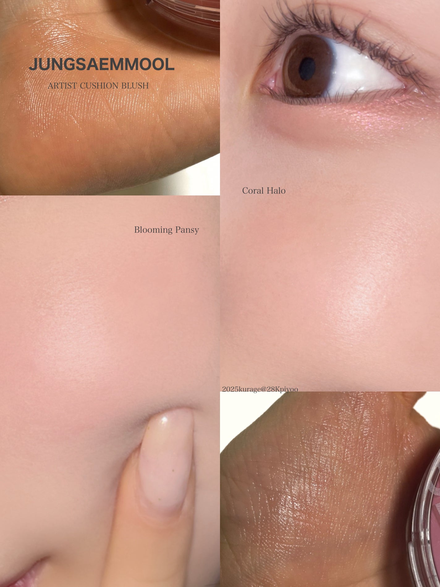 アーティストクッションブラッシュ/JUNG SAEM MOOL/リキッドチークを使ったクチコミ(1枚目)