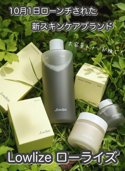 ファーストバランシングトナー/Lowlize/化粧水を使ったクチコミ(1枚目)