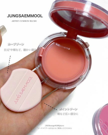 アーティストクッションブラッシュ/JUNG SAEM MOOL/リキッドチークを使ったクチコミ(5枚目)