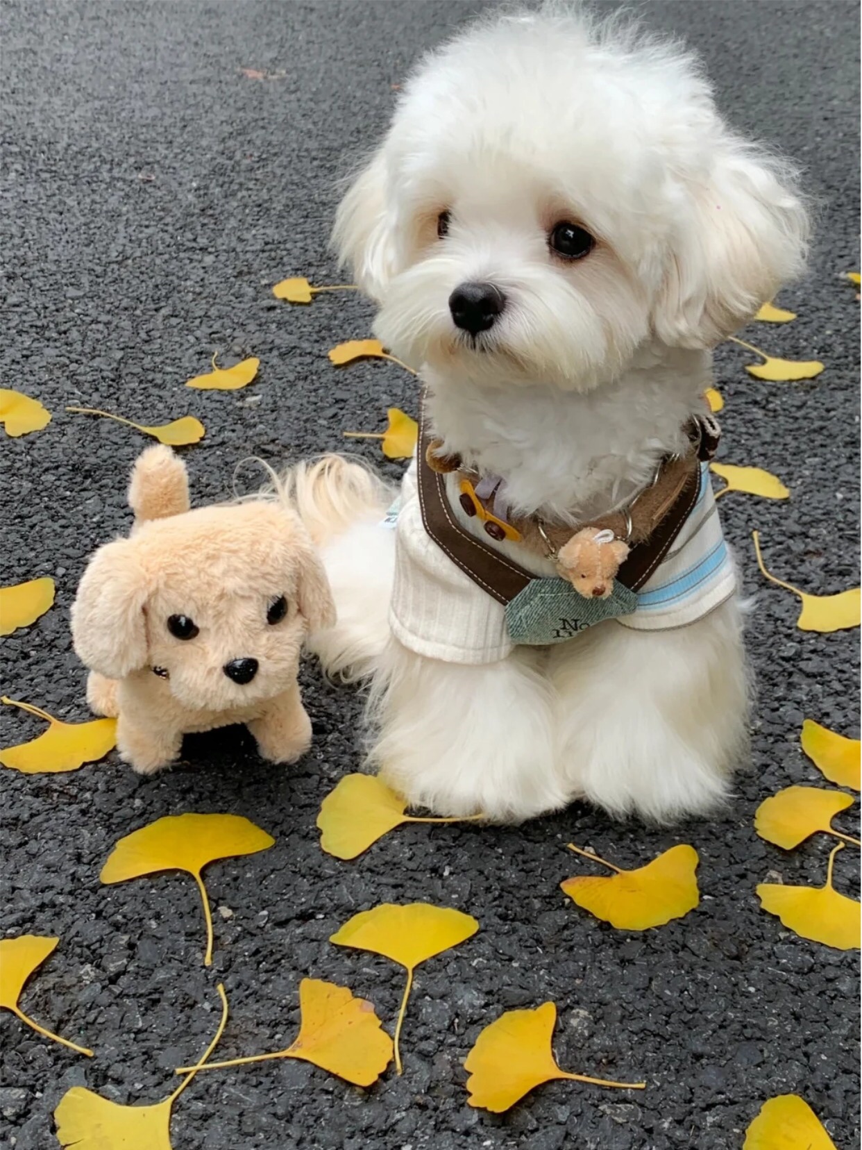 アネトス バランシング トリートメント トナー /Anetos/化粧水を使ったクチコミ（3枚目）