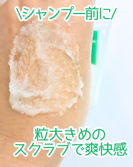 ローズマリー スカルプ スクラブ/AROMATICA/ヘッドスクラブを使ったクチコミ(2枚目)