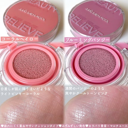 アーティストクッションブラッシュ/JUNG SAEM MOOL/リキッドチークを使ったクチコミ(3枚目)