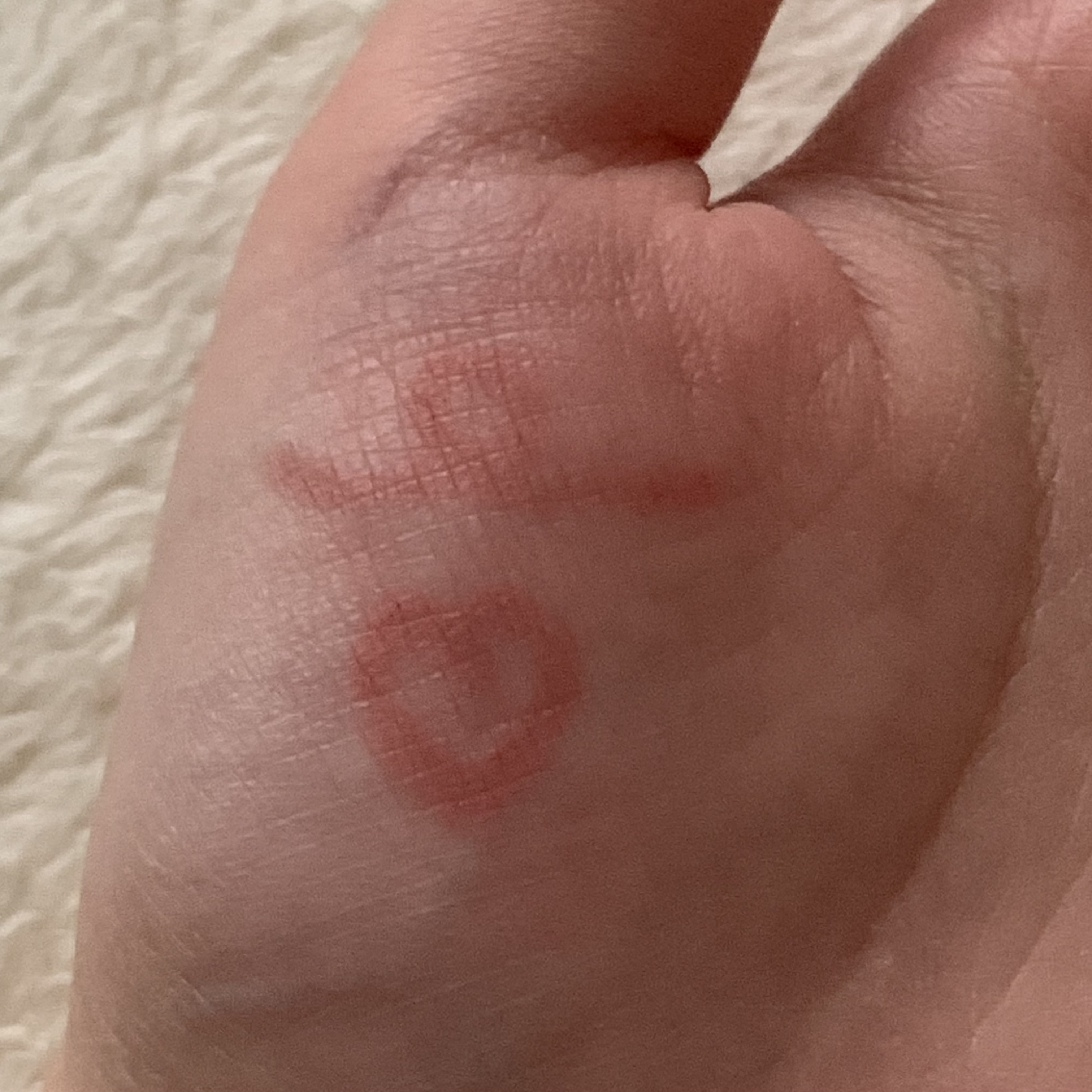 クリーミータッチライナー シアー/キャンメイク/ジェルアイライナーを使ったクチコミ（2枚目）