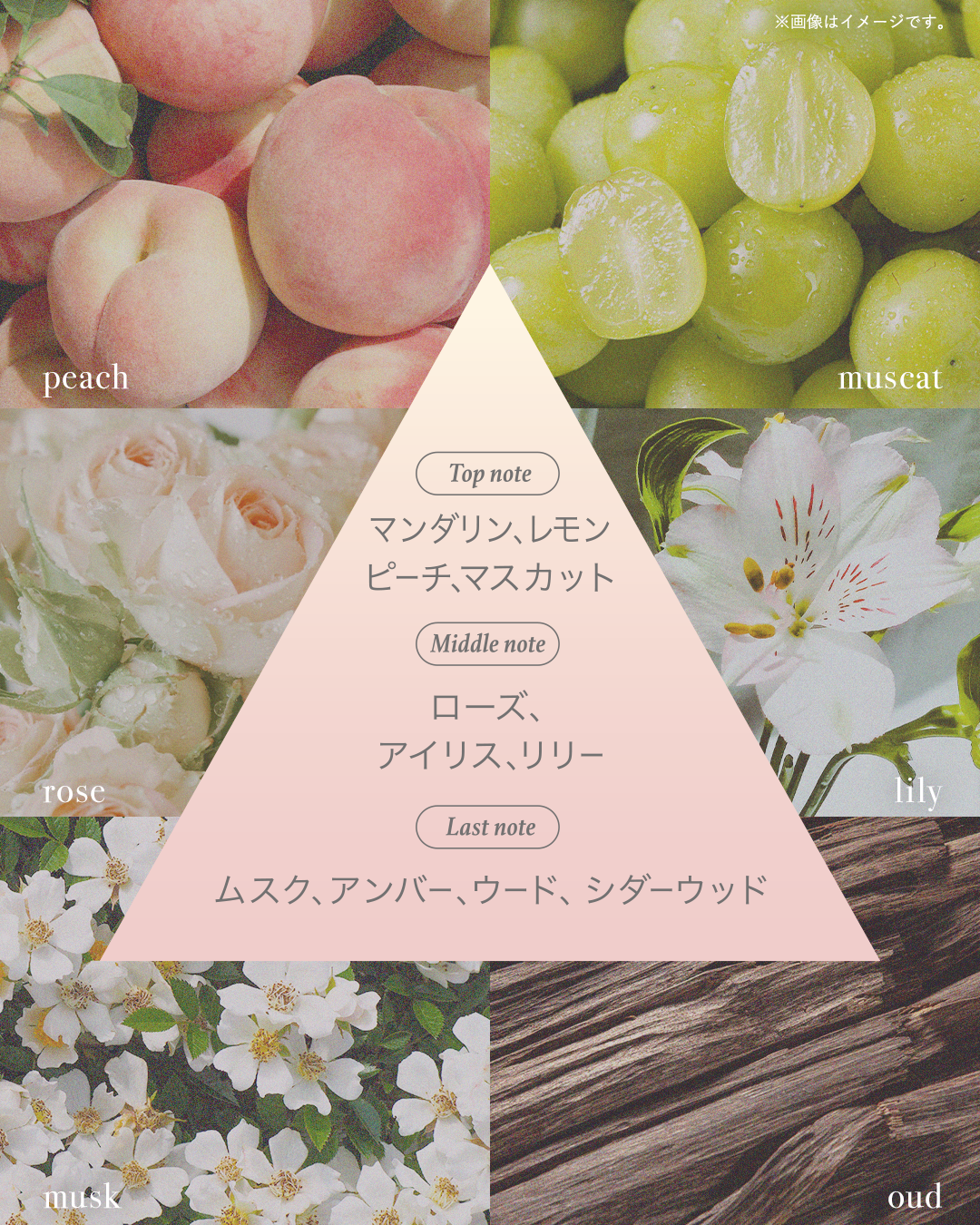 ボディミスト トゥインクルビジュー/フィアンセ/香水(レディース)を使ったクチコミ（2枚目）