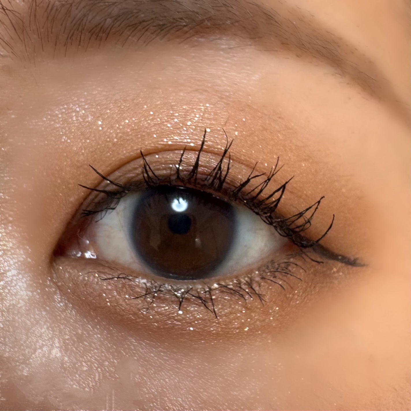 ルナソル アイカラーレーションN/LUNASOL/アイシャドウパレットを使ったクチコミ(2枚目)