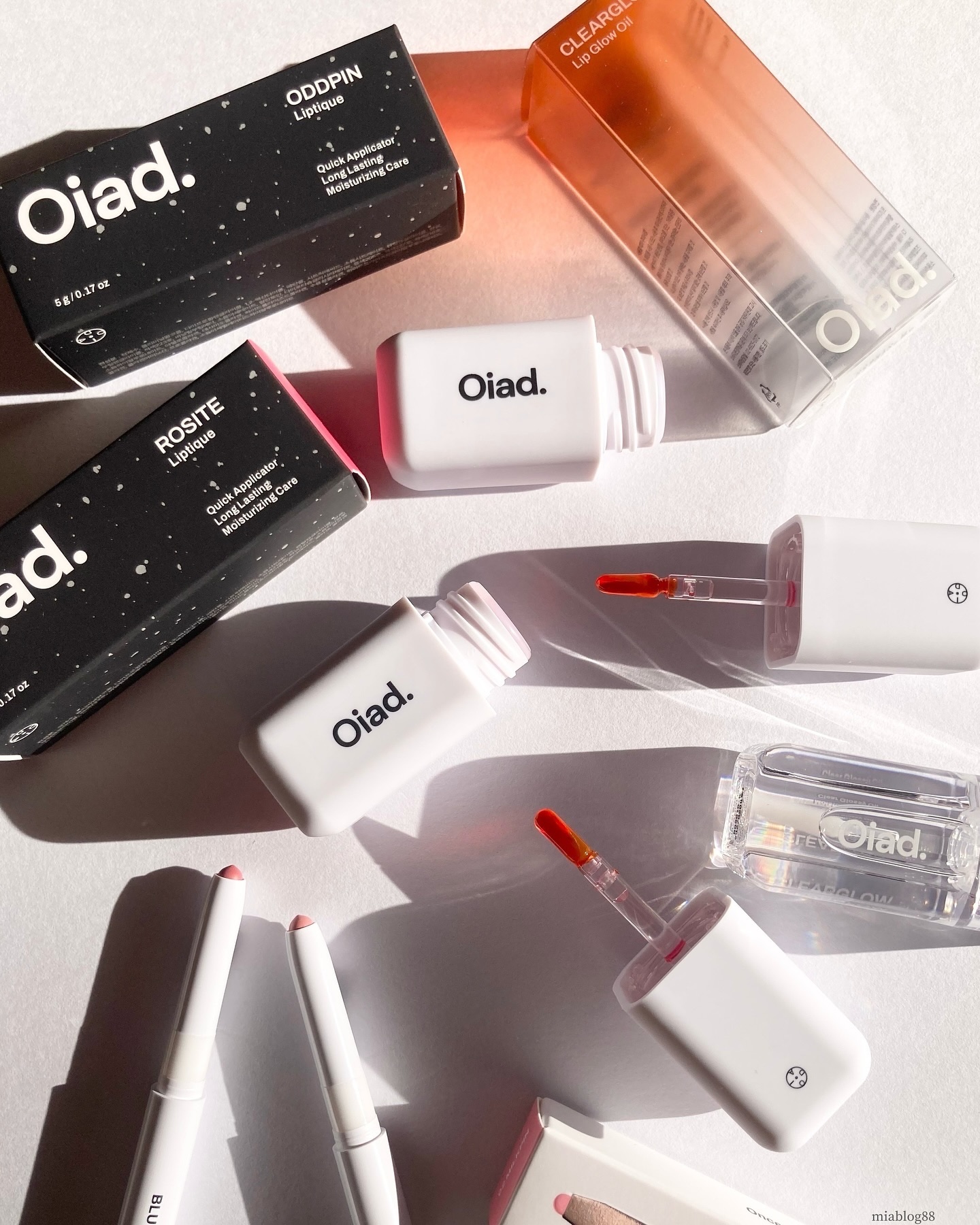 リップティーク/oiad/口紅を使ったクチコミ（1枚目）