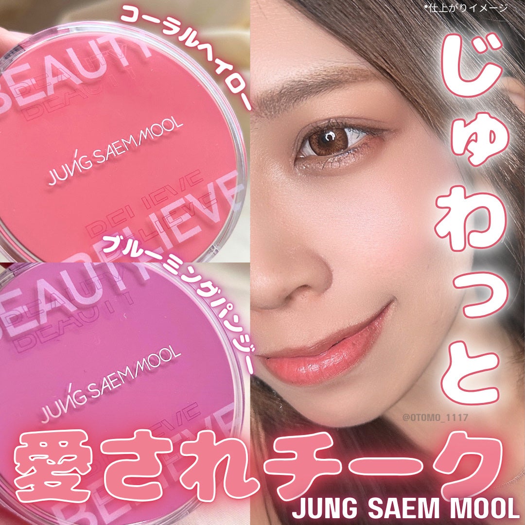 アーティストクッションブラッシュ/JUNG SAEM MOOL/リキッドチークを使ったクチコミ(1枚目)
