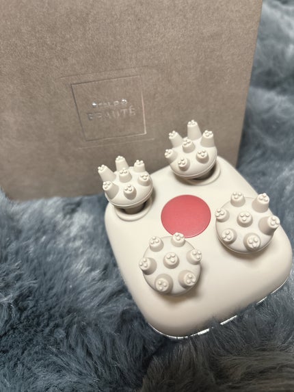 スカルプD ボーテ ビューティーヘッドスパ/アンファー(スカルプD)/スカルプブラシを使ったクチコミ(3枚目)