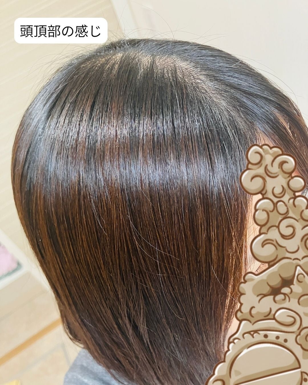 シューミーシャンプー/トリートメント/nalufurou/市販シャンプーを使ったクチコミ(9枚目)