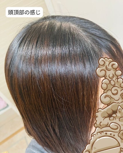 シューミーシャンプー/トリートメント/nalufurou/市販シャンプーを使ったクチコミ(9枚目)